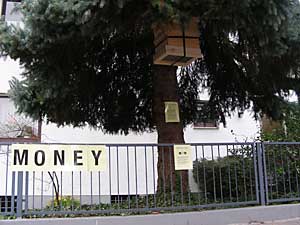 Bienenfalle im Baum eines Vorgartens