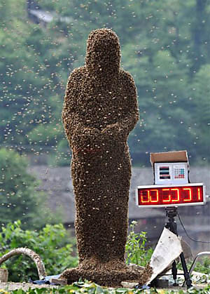 Bienenwettbewerb