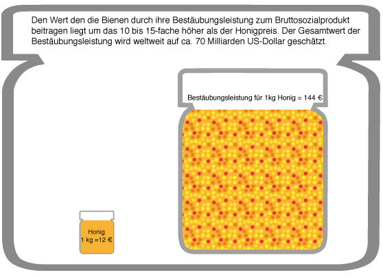 Die Bestäubungsleistung